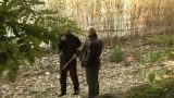 Porno 16 İzle